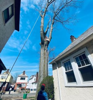 WhatsApp Image 2023-07-24 at 1.41.30 PM (1)