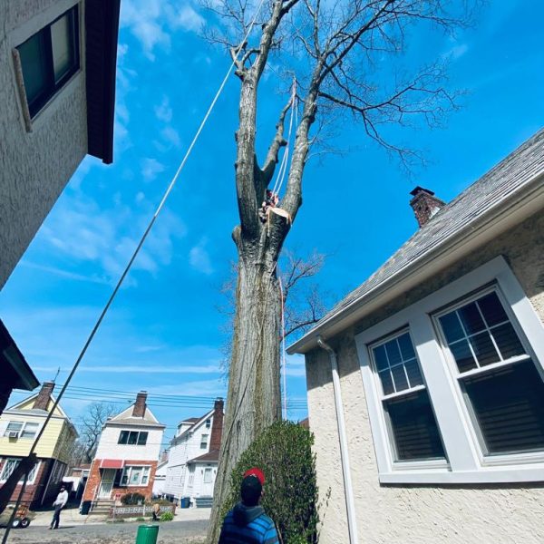 WhatsApp Image 2023-07-24 at 1.41.30 PM (1)