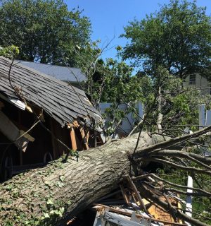 WhatsApp Image 2023-07-24 at 1.41.30 PM (10)