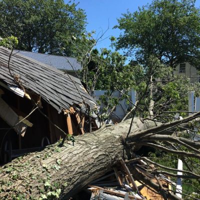 WhatsApp Image 2023-07-24 at 1.41.30 PM (10)