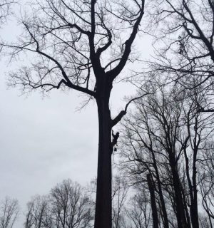 WhatsApp Image 2023-07-24 at 1.41.30 PM (11)