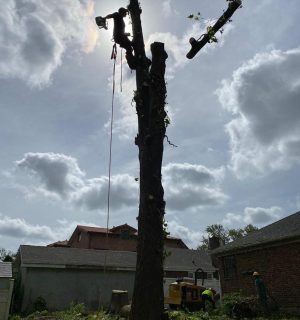 WhatsApp Image 2023-07-24 at 1.41.30 PM (3)