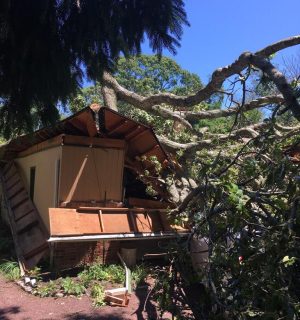 WhatsApp Image 2023-07-24 at 1.41.30 PM (8)