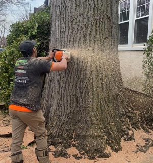 WhatsApp Image 2023-07-24 at 1.41.30 PM